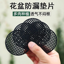 花盆底孔垫片多肉盆底透气防虫子防漏土塑料网格垫子盆栽垫底网片