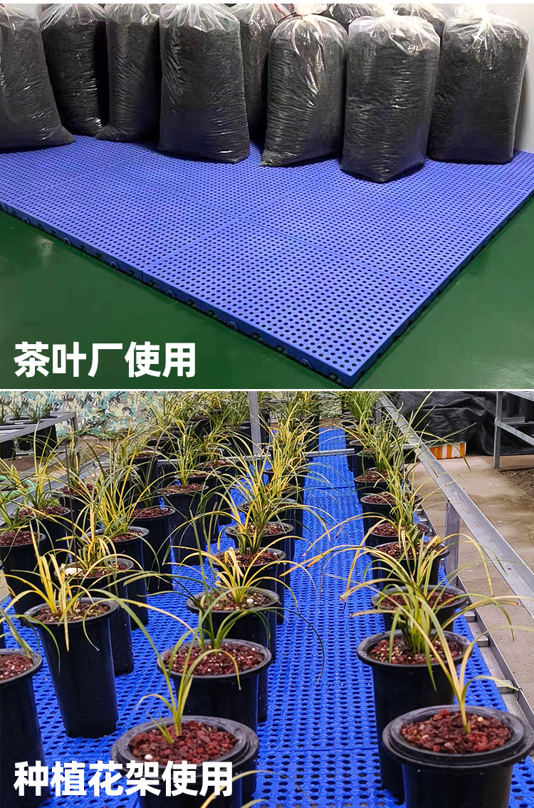 茶叶厂 花架.jpg