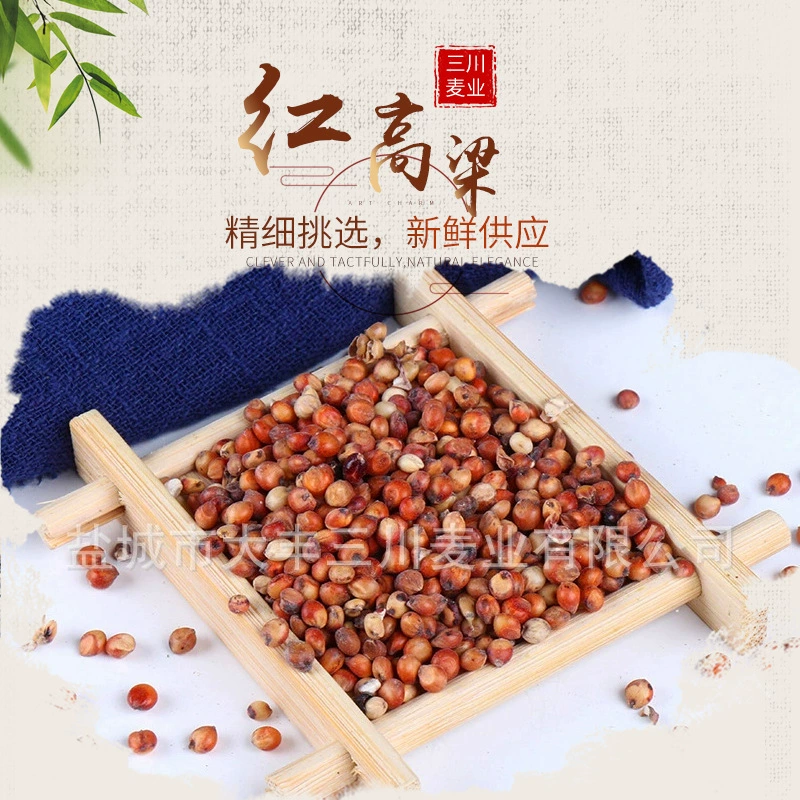 Источник происхождения сыпучего красного сорго с кожурой сорго без пилинга сорго