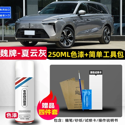 Avtomobil boya qələmləri — paint, self-applied spray paint, car paint - wei-brand-blue-mountain-summer-cloud-gray-single-bottle-spray-paint-includes-brush-sandpaper
