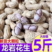 福建龙岩花生带壳湿烤紫衣咸酥蒜香水煮白晒干原味熟花生零食