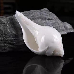 �׺��ݷ��ֹ��Ӽҹ���Ʒ���߷�ǰ�˹����Ô[����ߴ�