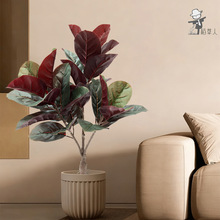 ���W���s����ֲ���Ř��~�����GֲС�����Ԕ[���͏d�҃��b�ֲ��