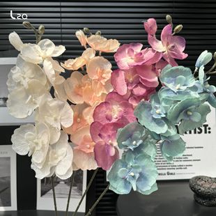 ����8�^�����m �鷿���üٻ���c��Y��·���廨���߻��ğo������