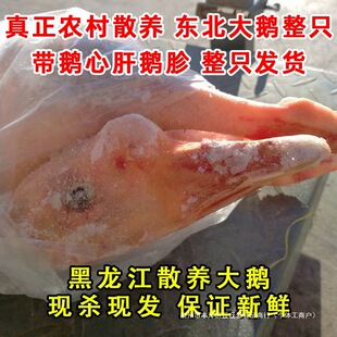 �|�����r���Z�F���F�l����������ɢ�B���Z��ֻ��ֻ���]�������Z