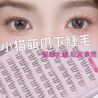 鱼小丫小猫爪下睫毛大容量分段式透明梗自然纯欲懒人漫画眼睫毛