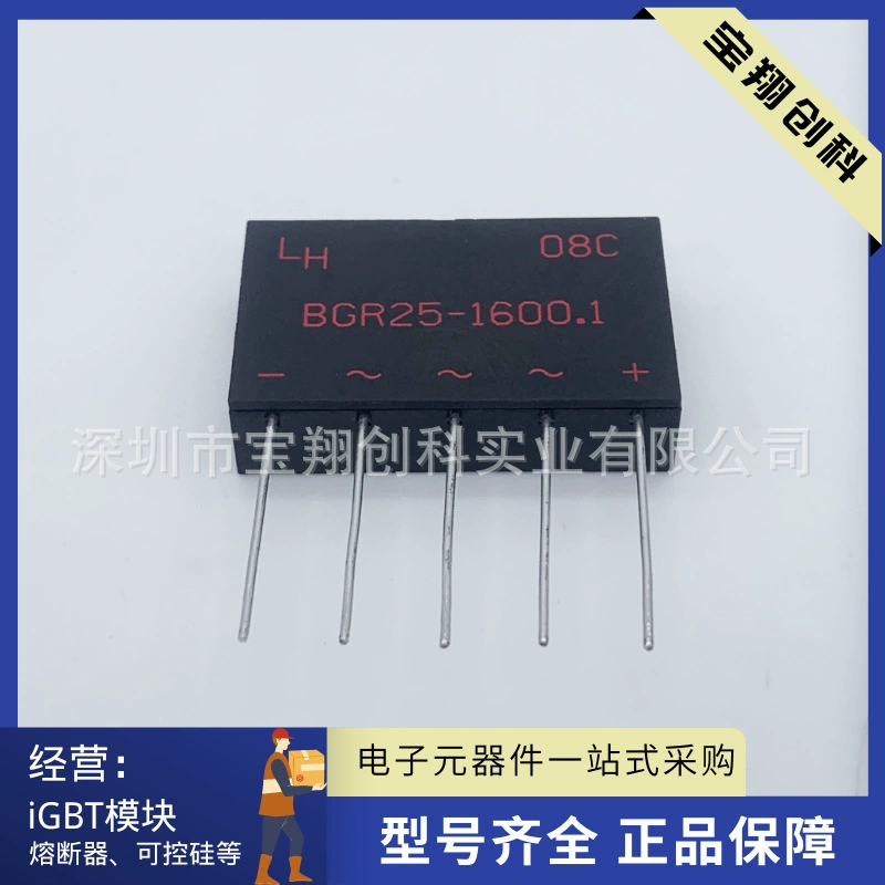 BGR25-800.1 BGR25-1600.1 BGR25-1600.2 модуль питания