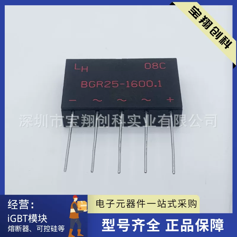 BGR25-800.1 BGR25-1600.1 BGR25-1600.2 модуль питания