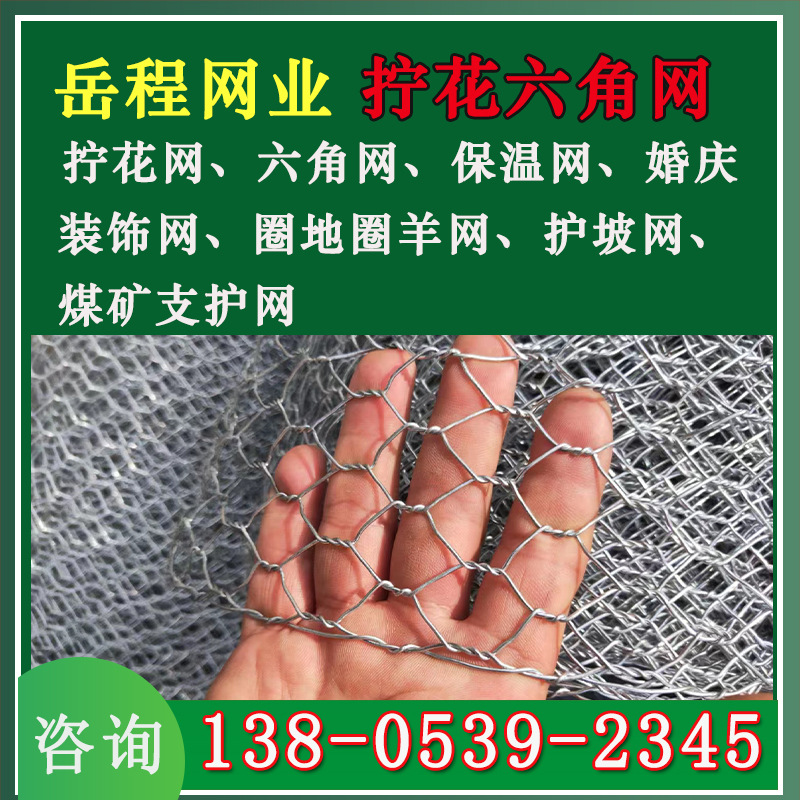婚庆六角铁丝网 墙体保温抹灰网 养殖网 浸塑拧花网 镀锌六角网