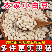 小白豆批发 新货小白芸豆珍珠豆子弹豆炖菜煲汤五谷杂粮