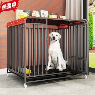 ���\���д���Ȯ���������x���ﹷ�\�҃ȇ���߅�����������ë����
