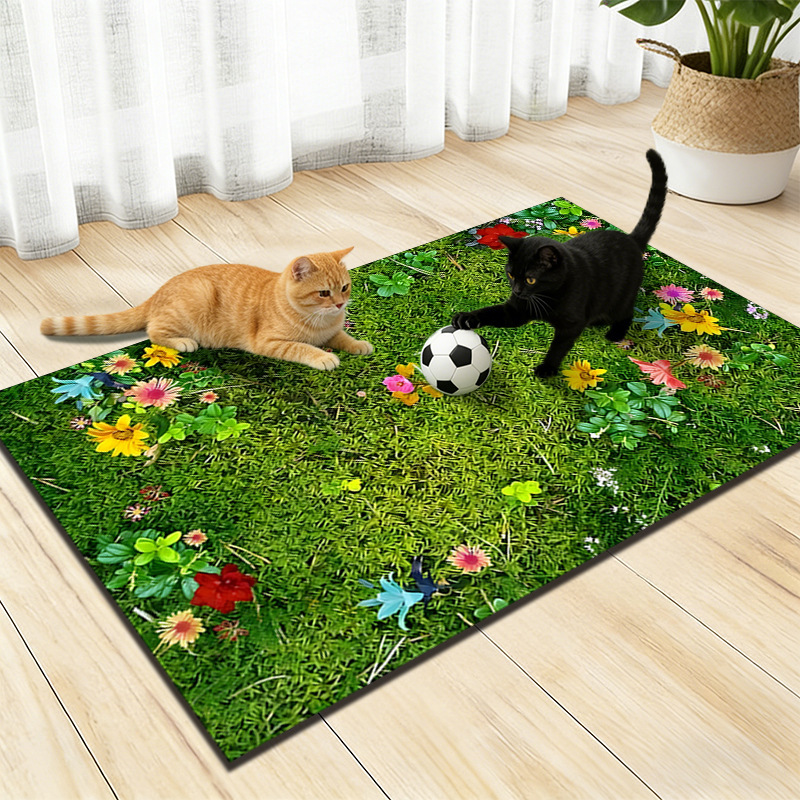 Transfronterizos TEMU camas de paja alga barro estera de campo de fútbol dormitorio para mascotas de juego estera de cabello resistente a la suciedad fácil de cuidar estera de pies