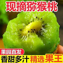 �������J�����殐��ü�h���rˮ���������ЋDˮ���J��������