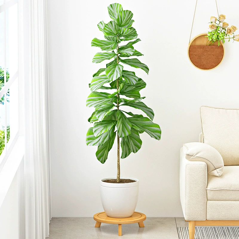 Мобильный цветочный горшок из цельного дерева с универсальным колесом, поднос для бытового журнального столика, роликовый цветочный диск с подносом для раковины, стойка для горшков для бонсай