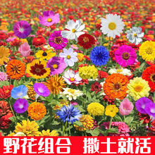 ҰMֲN̫ꖻNѲ˹հղݸɣNܷN