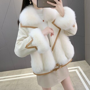 ZLS����Ƥ�ݷº���ë�̿���q�޷�����Ů2025���¿����b�I���p��