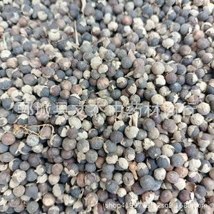 ��؛���G����ș�����G�ӬF؛���l�a��؛Դ���Ă�ș�I�������G�ӡ�