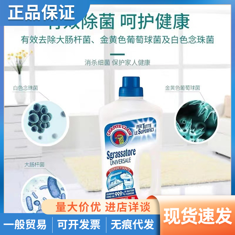 Italy Dagong Chicken Head Floor Cleaner Household Tile Mopping Cleaning Fluid 750ml