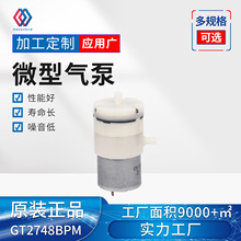 GT2748BPM微型气泵 小型隔膜泵 高压便携式吸奶器康复手套泵增压
