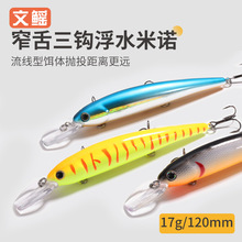 ��ˮ�hͶ�����Z12cm/17g·��Ӳ�D��ˮ����N���|�h�~���D