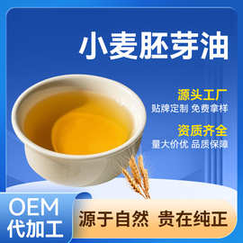 厂家直供一级压榨小麦胚芽油植物食用小麦胚芽油基础油