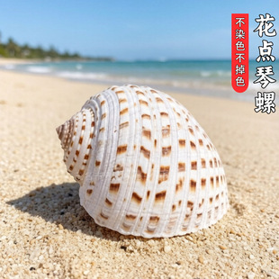 ��Ȼ������ؐ�����c�����~���쾰��ؐ�~��ֳ�����⻨��Y��[��