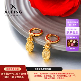 耳环;耳钉;项链