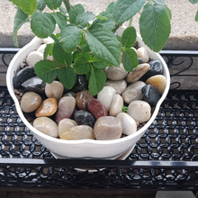 �����Zܛʯ��ɫԭʯ������Ȼ�~��ͥԺСʯ���쾰�Z��ʯʯ�^��