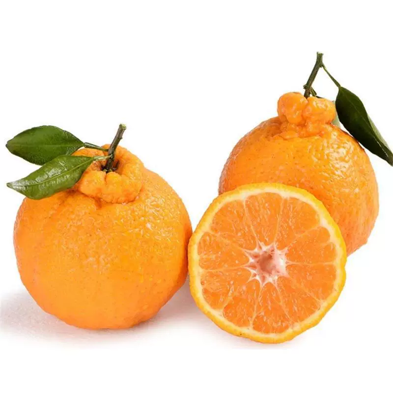 四川耙耙柑新鲜水果桔子早期柑橘包邮应当季水果耙耙柑一件代发