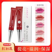 GABRY�y��Ư����ļt����t�����ۼt�ؼy�����÷�ɫ��ɫ�̝���ˮ