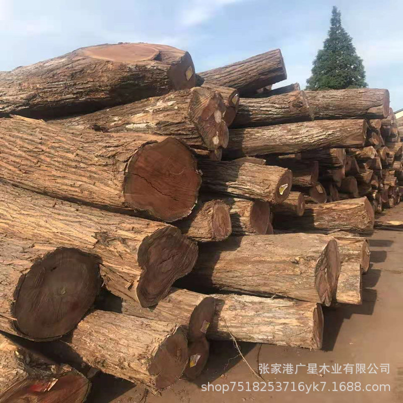 微信图片_20210627153330_副本
