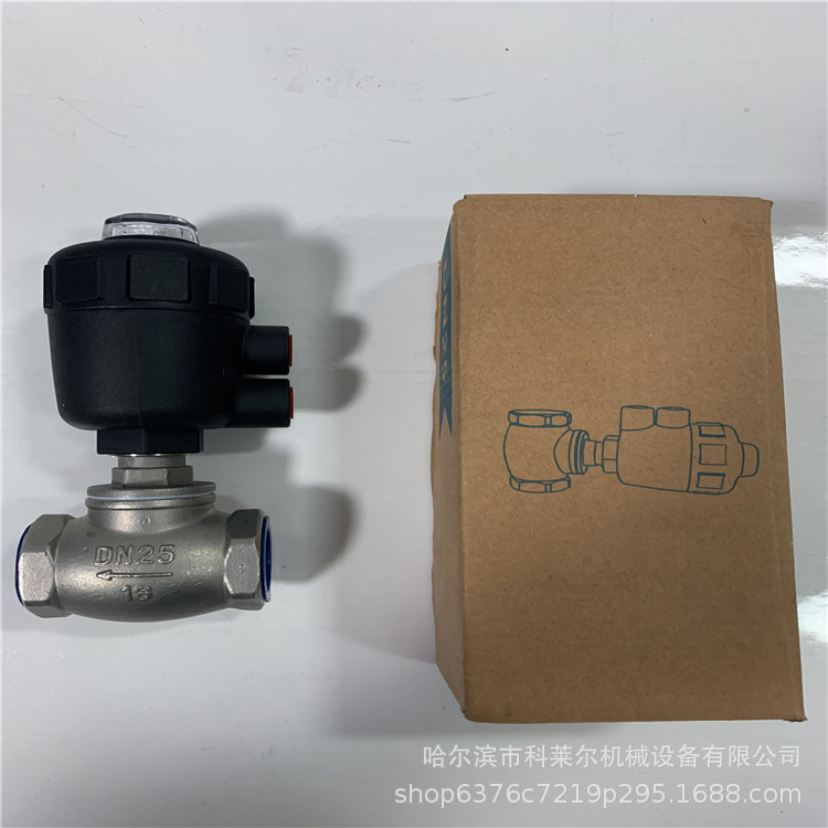 DN25排气气动阀 (4)