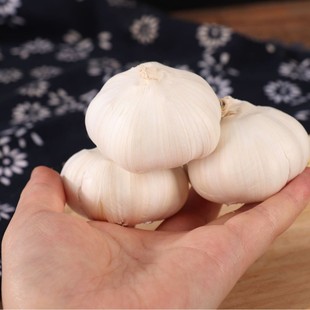 �������ڽ��l��Ƥ���� Ʒ�|���C��ȫ�o������Ȼ