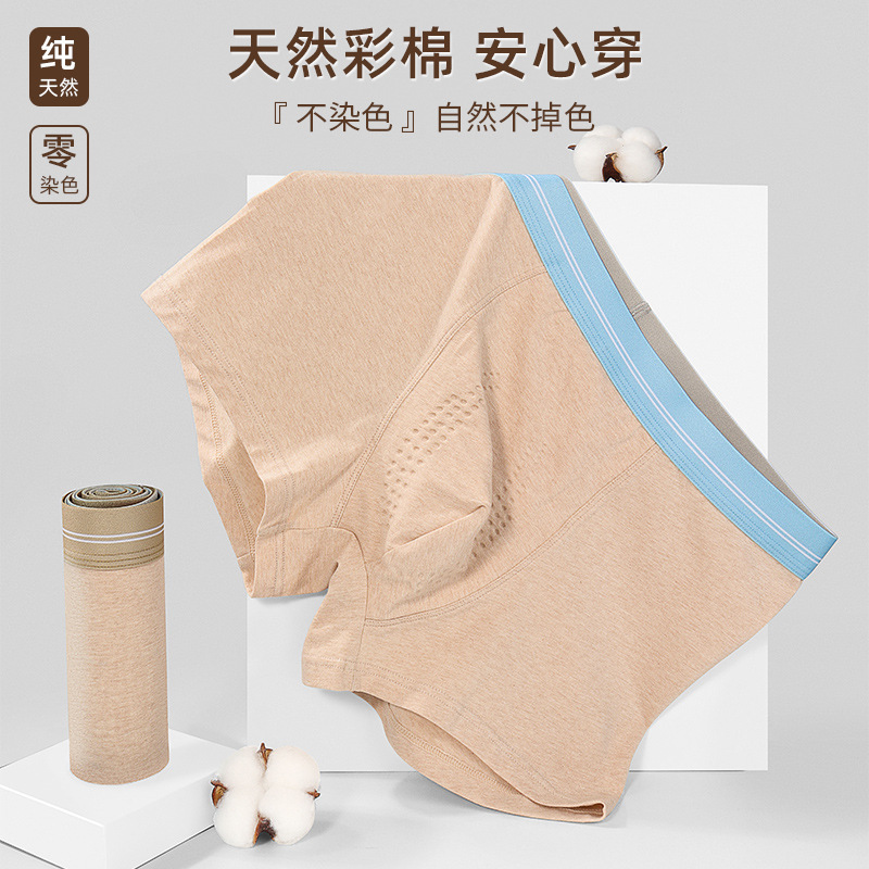 2025 New Color Cotton Men's Underwear Pure Cotton Mid-Waist Breathable Seamless Antibacterial Boys Shorts Boxer Briefs Zhongshan Wholesale