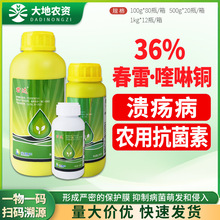 ���_ 36%����ù��&middot;����~���٘䝢�����z�������ǰ߲��������rș