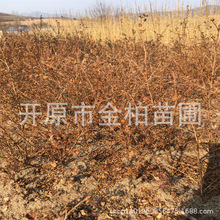 ���l����÷��¶÷�������NС���|����¶÷��������ȫ���l؛