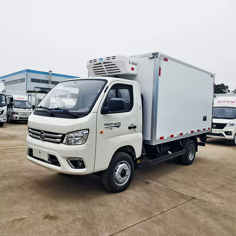FOTON小型冷藏车出口 瓜果蔬菜保鲜车 水产品冷冻车 冰激凌保温车