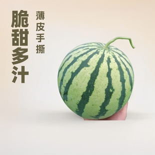 ��������ˮ�����r10�ﱬ���֭ɳȿ��Ƥ��˺����ˮ�����������