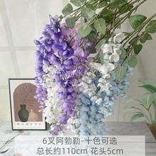 �羳�¿����ٻ������շ��滨��Y��c��픴����Y�üٻ��쾰�b���