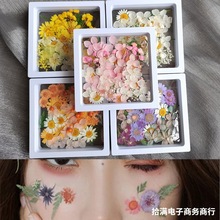 装饰森系化妆贴花贴脸干花饰品新娘面部妆容小花脸上儿童舞台美甲