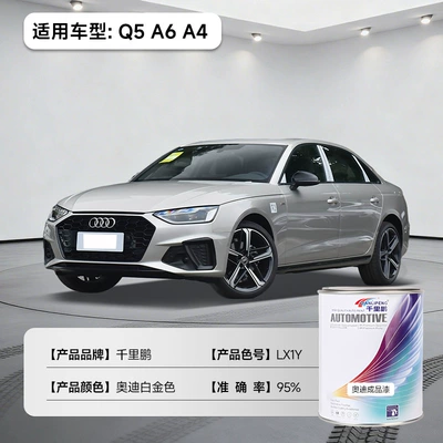 Anti-Rust Automotive Paint, Car Refurbishment, Avtomobil boyası - audi-platinum-white-q5-a6-a4-lx1y-1ljug-liquid-paint