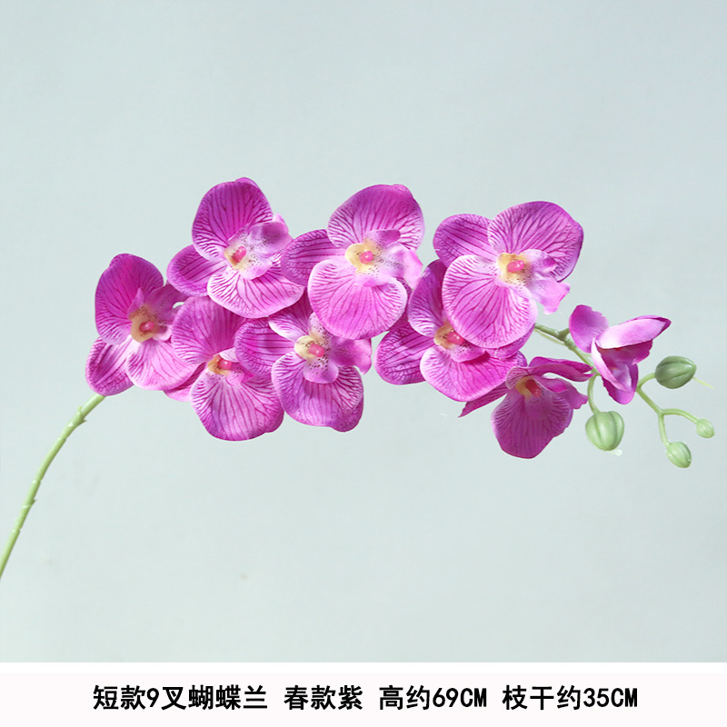 Short 9-head phalaenopsis purple silk cloth