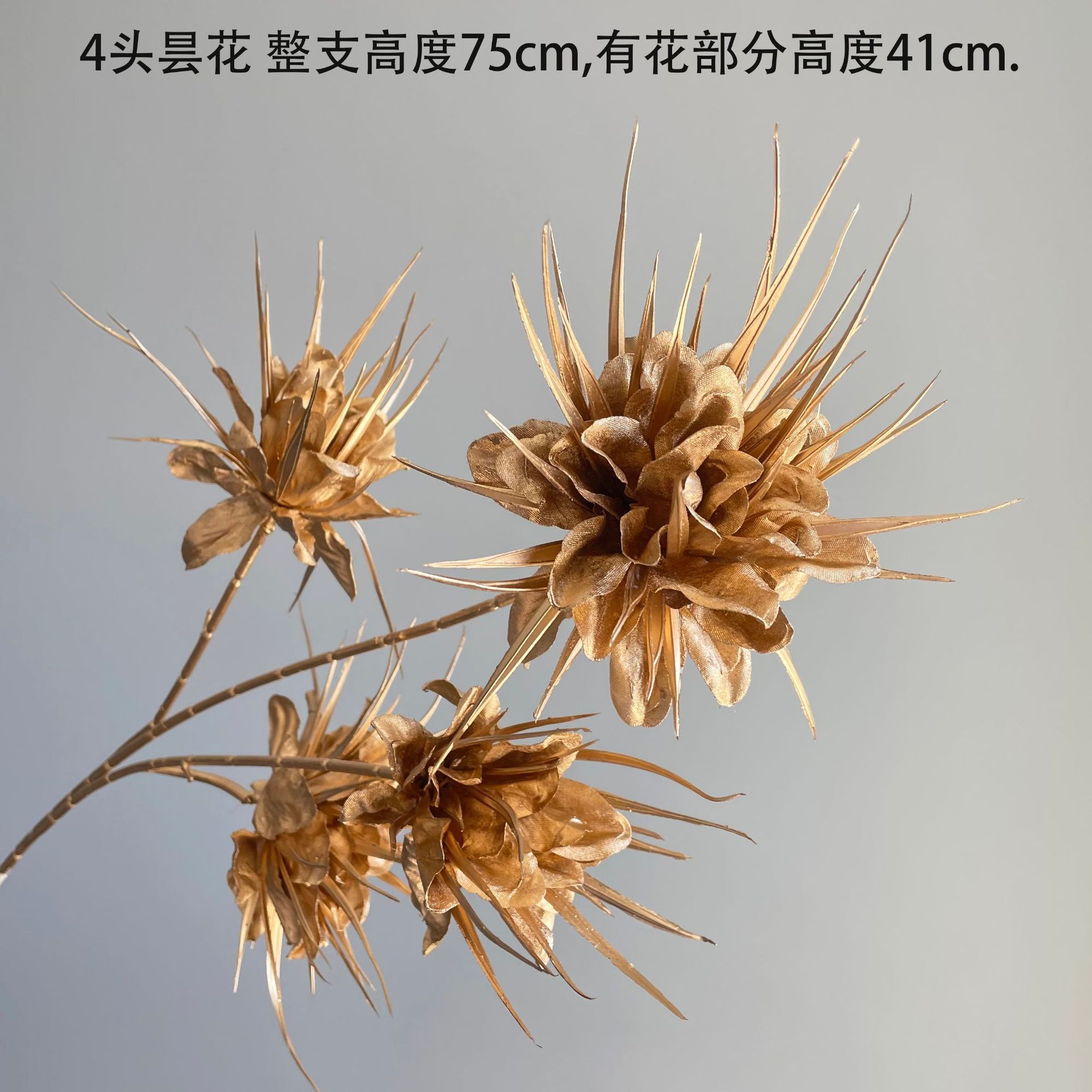 SKU68_颜色_4头昙花