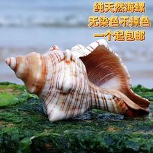 ��Ȼ����ؐ����ǧ���ݼҾӔ[���~���쾰ˮ�����b�