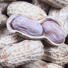 龙岩带壳水煮白晒咸干蒜香五香香酥花生500每袋零食坚果特产批发