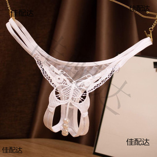 ��ѝŮ���{�ɲ���W�����������ѝ������ꎶ���ѝ��HCDS