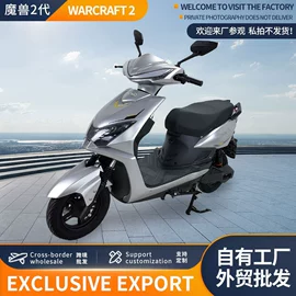 其他电动车;其他摩托车;电动摩托车