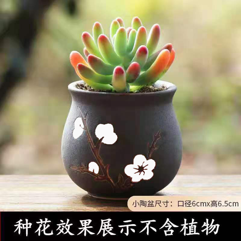 植木鉢の小さい新商品の缶のアイデアの磁器の缶の多い陶磁器の肉のミニ陶のレトロな家庭の陶磁器のたらいの園芸の太い新しいです。|undefined