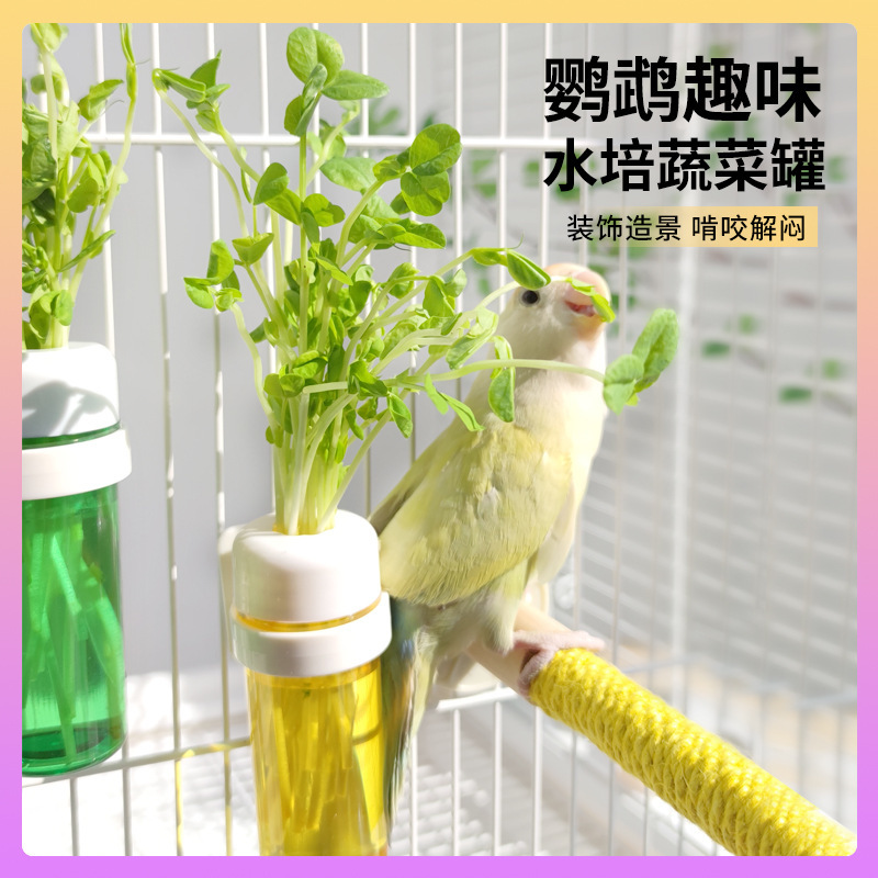 Bird Vegetable Preservation Jar, Parrot Hydroponic Vegetable Jar, Peony Black Phoenix Fruit and Vegetable Basket, Water Storage Feeder, Small Pet Supplies Bird Vegetable Preservation Jar, Parrot Hydroponic Vegetable Jar, Peony Black Phoenix Fruit and Vegetable Basket, Water Storage Feeder, Small Pet Supplies