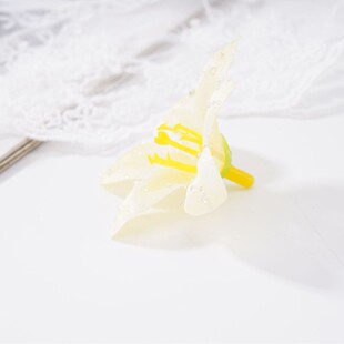 ������m���ȼ�diy���� ���w�����ɫ���x���l ���滨�^l�A